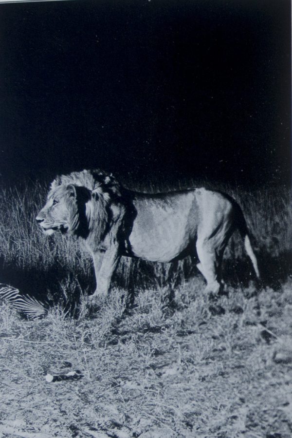 Camera Adventures in the African Wilds Being an Account of a Four Months' Expedition in British East Africa, for the Purpose of Securing Photographs of the Game from Life
