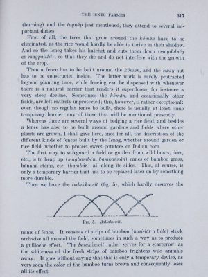The Isneg Farmer. Publictions of the Catholic Anthropological Conference, Vol. III, No. 4, pp. 281-386