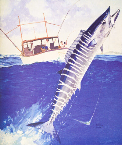 22205 Atlantic Game Fishing