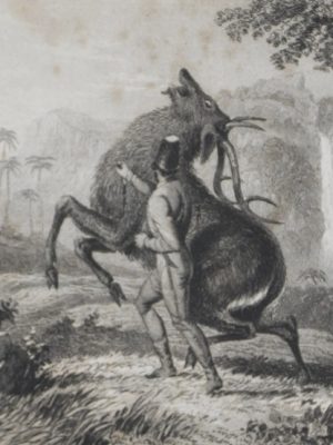 The Old Forest Ranger; or, Wild Sports of India on the Neilgherry Hills, in the Jungles, and on the Plains