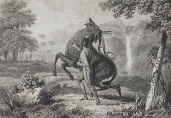 The Old Forest Ranger; or, Wild Sports of India on the Neilgherry Hills, in the Jungles, and on the Plains