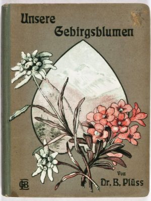 33978 Unsere Gebirgsblumen: als Ergänzung zum "Blumenbüchlein für Waldspaziergänger"