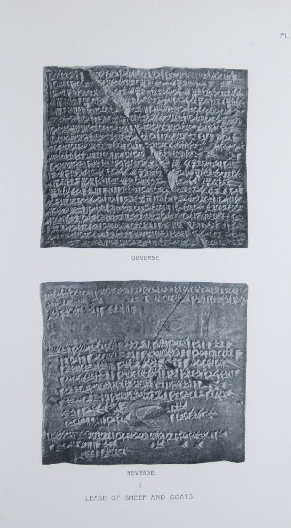 Business Documents of Murashû Sons of Nippur Dated in the Reign of Darius II. (424-404 BC) [The Babylonian Expedition of The University of Pennsylvania - Series A: Cuneiform Texts. Volume X]