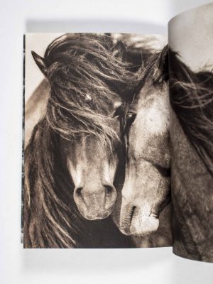"The Wild Horses of Sable Island" [SOFTCOVER PROSPECTUS BOOKLET 10 1/8" x 7 7/8", THIS IS NOT THE HARDCOVER BOOK]