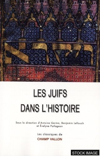 Les Juifs dans les Pays-Bas au Moyen Age