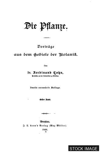 Die Pflanze. Vorträge aus dem Gebiete der Botanik
